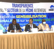 Transparence des pêches : «Le Sénégal doit compléter les étapes d’adhésion à la FiTI »