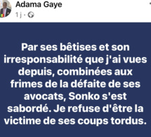 Adama Gaye corrige Sonko : « Il n’est qu’un petit tyran qui s’ignore » (Par Adama Gaye)