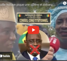 Aly Ngouille Ndiaye pique une c0lére et débarque au Conseil constitutionnel pour déposer une requête