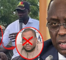 Sc@nd@l jour la réponse salé de ce Sénégalais sur Babacar Fall Tfm après ses attaques sur Macky Sall