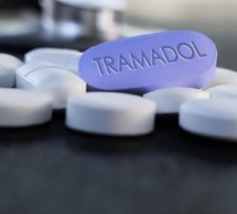 Trafic de Tramadol : le réseau Dakar-Bamako-Niger démantelé