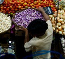 Vision économique de la Coalition Diomaye Faye : En route vers un secteur primaire garant d’une sécurité alimentaire et générateur de devises