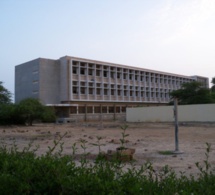 Saint-Louis : "Djiné Maimouna" de retour au Collège Abbé Boilat et au lycée Charles De Gaule