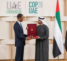 Ordre de Première classe de Zayed II: Alioune Ndoye, ancien Ministre de l'Environnement, décoré à Abou Dhabi