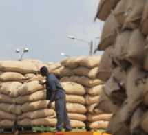 Côte d’Ivoire : La valeur des exportations de biens a atteint 10.166,1 milliards FCfa en 2022