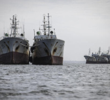 Au Sénégal, les nouvelles autorités face au défi de la régulation de la pêche