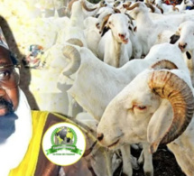 Imam Cheikh Aliou Cissé a offert plus de 580 moutons pour la Tabaski