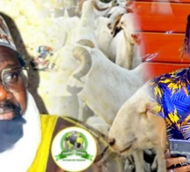 A. J-Révélation inattendue de Tange sur les 580 moutons offertes par Imam Cheikh Aliou Cissé à ..