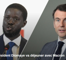 « Au menu du déjeuner Macron-Diomaye », Par Mbaye Ndour
