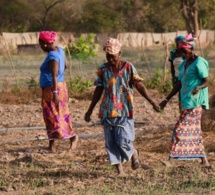 Sénégal : Plus d’une femme sur deux participe à l’activité économique