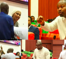 Echauffourées « parlementaires » à Abuja : La CEDEAO condamne les dérives verbales du député Guy Marius Sagna