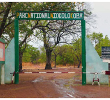 L’UNESCO retire le parc Niokolo Koba de la liste du patrimoine mondial en péril