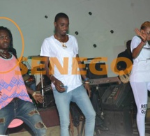 Armand Ndiaye, le danseur de Wally Seck agresse le reporter-photographe de Vipeoples