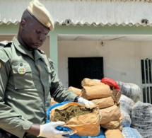 Djifère: 845 kg de chanvre indien saisis par la Brigade fluviomaritime des Douanes de Fimela (Photos)