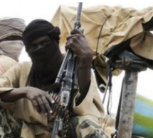 Cameroun : Boko Haram frappe à nouveau l’Extrême-Nord