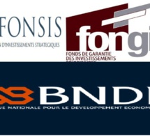 Fonsis, Fongip et Bnde : un manque d’articulation d’ensemble