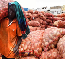 Le Gamou en vue : A Médina Baye, les commerçants très inquiets suite à la hausse du prix de l’oignon