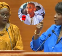 Question brulante de Nafissatou Diallo PDS au ministre Yacine Fall sur l'interdiction de quitter le pays de Ablaye Seydou Sow