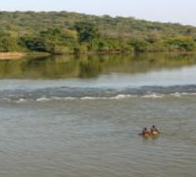 Risque imminent de débordement du Fleuve Gambie : Les autorités sonnent l’alerte à Kédougou