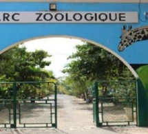 Parc zoologique de Hann : Entre dénégation ministérielle et réalité alarmante (Les Chroniques citoyennes d’Adama Diop)