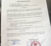 Sonko inéligible? Recours de Taaku Waalu au conseil constitutionnel.