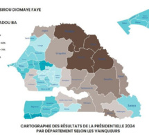 Législatives du 17 novembre 2024 : Quelles projections de résultats à partir des chiffres de la Présidentielle ? (Par Assane Sine)