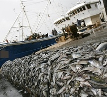 CES GOULOTS QUI ETRANGLENT LE SECTEUR DE LA PECHE