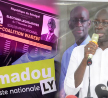 Législatives du 17 novembre : Amadou Ly et sa coalition Wareef en campagne au Fouta