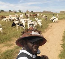 Daouda Faye, le frère de la 1ère Dame, est un éleveur-bricoleur