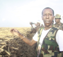 Cheikh Amar : « S’il y avait quatre Khelcom au Sénégal, on ne parlerait plus d’autosuffisance alimentaire »