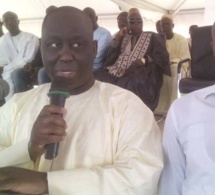 Aliou Sall, vous avez bien dit Rat ?Découvrons  qui est cet animal si petit, Par Makhtar Lèye