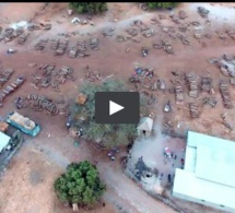 Un drone filme le pillage par la Chine des dernières forêts du Sénégal