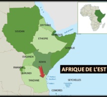 Perspectives économiques en Afriques en 2016 : L’Afrique de l’Est tient le haut du pavé