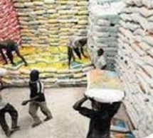 Importation : AfricaRice met en garde contre le riz importé