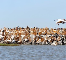 1ère Edition du concours sur le tourisme durable : Orni Tourisme Sénégal séduit le jury