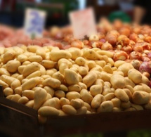 Des prix stables et raisonnables sur le marché pour l’oignon et la pomme de terre