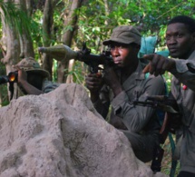 Casamance : Des éléments du MFDC font irruption dans le village de Maka Masireh et battent à mort un individu