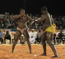 En images le combat qui a envoyé le 3eme tigres de Fasse Gris Bordeaux a 4 appuis par Kharagne Lo. Regardez